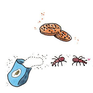 Illustration de biscuits et fourmis pour la page pro du Lumignon