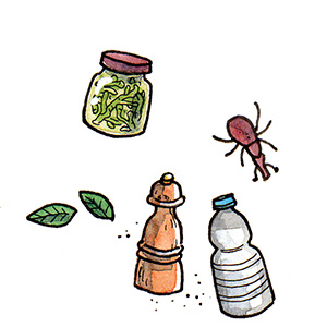 Illustration de pots et bestiole pour la page pro du Lumignon