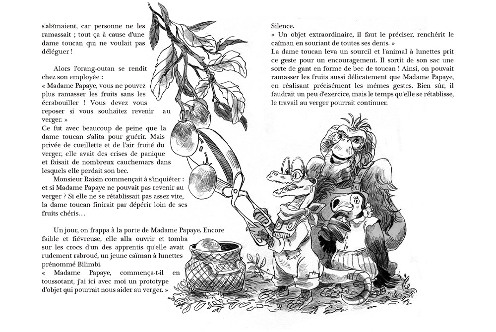 Double page de madame Toucan, extrait de la Jungle Pépins